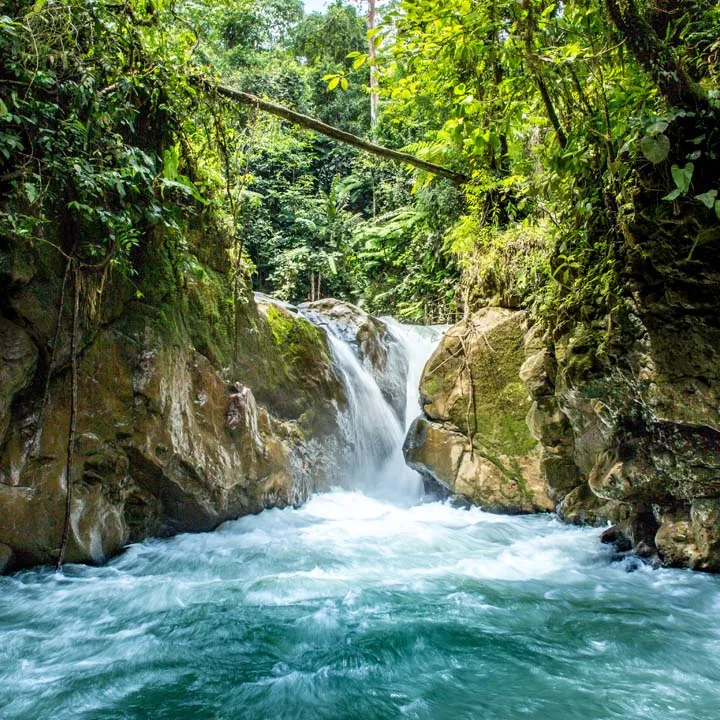 River with waterfalls and swimming holes