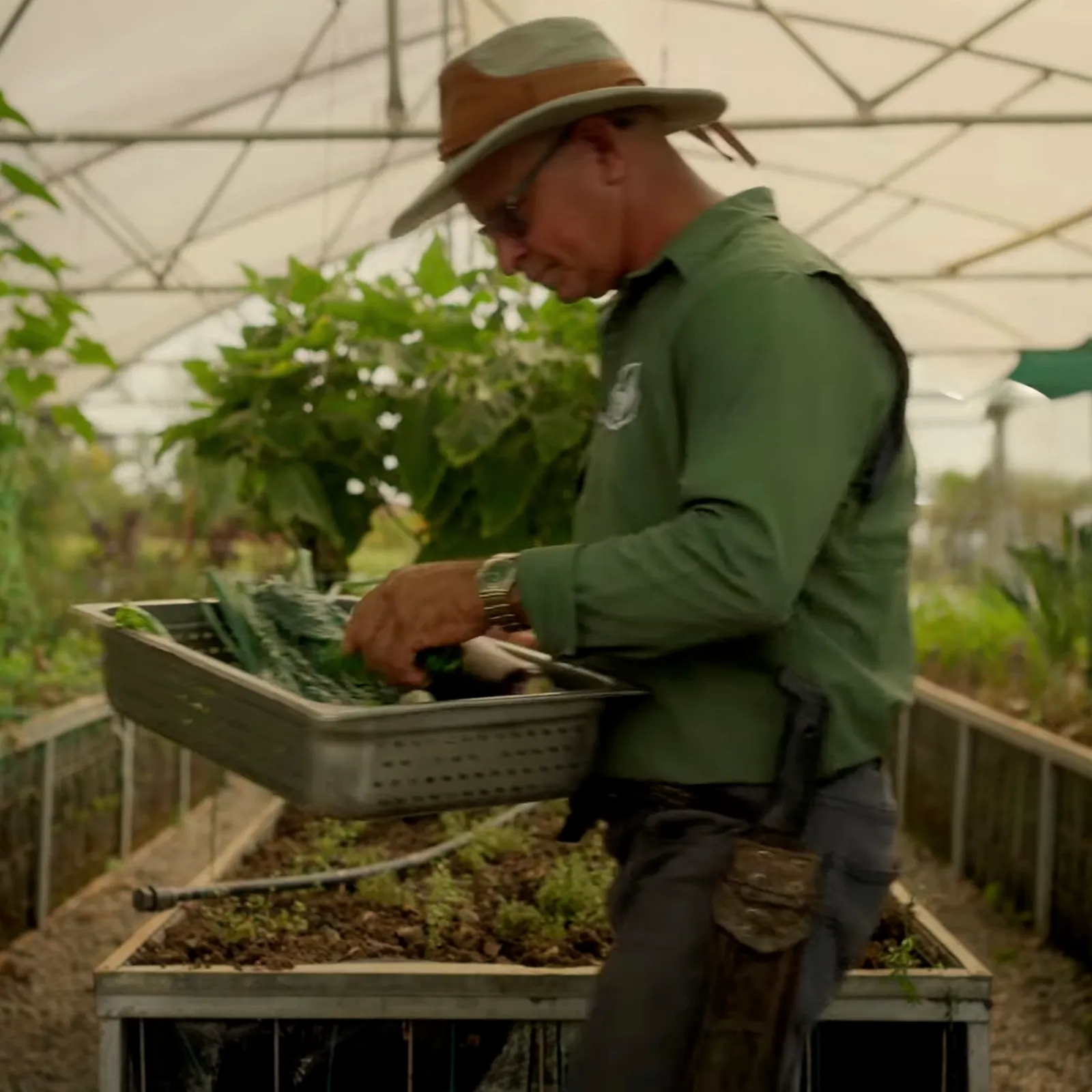 Fresh local produce sourced from local generational farmers near RISE Costa Rica