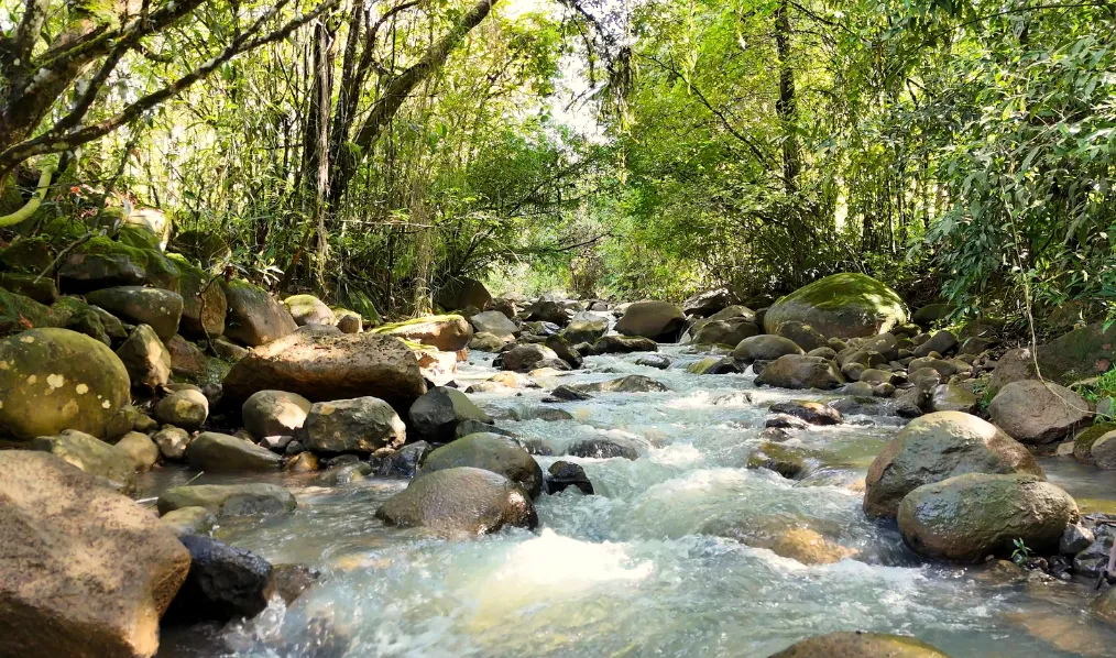 Creek at the back