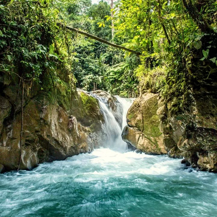 The River