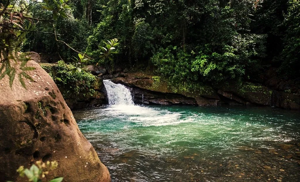 The River
